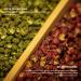 BAILINHOU Premium Sichuan Peppercorns Red and Green Peppers 4oz - Original Imported from Szechuan China - Buy Online on GoSupps.com