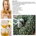 250g Milk Oolong Tea - Affordable Fresh Anxi Green Tea | Premium Quality Chinese Oolong Tea - Buy Online on GoSupps.com