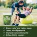 Organic Dried Pine Needle Tea Bags - 30 Natural Caffeine-Free Triangle Teabags for Immunity Support - Buy Online on GoSupps.com