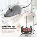 DesignBox Remote Control Mouse Toy Wireless Control Realistic Rat Scary RC Mice Toy For Cat Kitten Dog Pet Novelty Gift Trick Bugs Kids Children Halloween Christmas Birthday Present (Light Grey) - Buy Online on GoSupps.com
