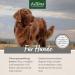 AniForte Barf Feed Oil for Dogs 250ml - Premium Cold-Pressed Omega 3 & 6 Oil | Natural Balanced BARF Supplement - Buy Online on GoSupps.com