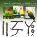 5-Piece Natural Twig Parrot Toys Set for Small to Medium Birds - Ideal for Macaws, Budgies, Lovebirds, Finches - Perching Wood Sticks - Buy Online on GoSupps.com