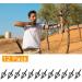 LeeMui Stainless Steel Hunting Archery Broadheads - 12Pcs - Buy Online on GoSupps.com