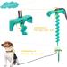 Dog Tie Out Cable & Stake Set with Spiral Ground Anchor & Chew Toy - Perfect for Camping & Backyard - Buy Online on GoSupps.com
