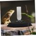 Happyyami Turtle Drinker Reptile Water Dish Bowl Reptile Water Dispenser Pet Water Feeder Reptisoil Plastic 17X17X3.5CM Black - Buy Online on GoSupps.com