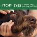 Cat & Dog Eye Drops 2 Bottle Relieve Red Eyes & Allergy Symptoms & Relieve Eye Inflammation Infect for Acute or Seasonal Dry Eyes Eye Wash Drops Gentle Formula for Dirt Crust & Discharge Remover - Buy Online on GoSupps.com