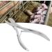 Wallfire Stainless Steel Piglet Tooth Nipper Scissors - Perfect for Piglet Dental Care | International Shipping Available - Buy Online on GoSupps.com