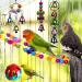 Hamiledyi 15PCS Bird Parrot Swing Chewing Toy Set - Colorful Wooden Hanging Bell with Hammock, Climbing Ladders - Ideal for Small Parakeet, Cockatiel, Conures, Finches, Budgie, Macaws, Love Birds - Buy Online on GoSupps.com