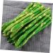 HOMSFOU 20 Pcs Simulated Asparagus Ornaments Pretend Play Food Fake Bamboos Food Faux Veggies Fake Food Model Asparagus Models Simulated Food Artificial Asparagus Model Pvc Vegetable Plant Light Greenx2pcs 19X0.9CMx2pcs - Buy Online on GoSupps.com