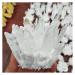 Natural Crystal Rough 600g Natural White Quartz Crystal Cluster Specimen Wedding Decoration Aquarium