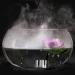 Fitnate Nebler Ultrasound Fog Maker - 24V Fogger for Ponds Aquariums Gardens & Halloween Decor - EU Plug - Buy Online on GoSupps.com