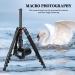 Victiv 81-inch Professional Camera Tripod with Monopod, Aluminum DSLR Tripod for Travel - 360 Degree Ball Head, Phone Mount - Compatible with Canon, Nikon, Sony - Black - Buy Online on GoSupps.com