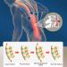 Decompression Back Belt | Lumbar Support & Pain Relief | Air Traction Belt for Lower Back - Size L - Buy Online on GoSupps.com