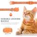 Shop Airtag Cat Collar - Reflective Neck Band with Holder & Bell for Kittens & Puppies | Safe Stylish & International Shipping Available - Buy Online on GoSupps.com