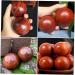 Fomiyes Solid Wood Massage Balls - 6-Pack Baoding Balls for Deep Tissue Foot & Muscle Massage | Ideal for Gymnastics & Fasciitis Relief - Buy Online on GoSupps.com