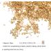 FRCOLOR 1 Glass Chip Irregular Glass Glitter Ornaments Glass Epoxy Resin Filler Nail Crystal Charms Crushed Crystal Chips Chunky Flakes Sequins Shiny Nail Glitter 3D Jewelry Self Made 0.5X0.3cm Golden - Buy Online on GoSupps.com