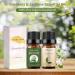 Sedbuwza Gardenia Jasmine Essential Oil Set - 2 x 10ml for Diffuser Aromatherapy Soap & Candle Making - Buy Online on GoSupps.com
