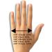 Large Hand Weight for Effective Strength Training | [Brand Name] - Buy Online on GoSupps.com