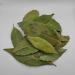 AgoraMarket Wild Dried Bay Leaves 85g 195KG Selected 460 grams - Buy Online on GoSupps.com