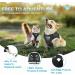 Buy Supet Cat Dishes & Soft Cat Vest with Leash for Kittens & Chihuahua - L Size Black - International Shipping Available - Buy Online on GoSupps.com