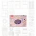 Easy to Use Stencil Set for Dotted Journals - Time Saving Planner Accessories/Supplies Kit Makes Creating Layouts Easy - Incl. Bullet Point Checklists, Daily/Weekly/Monthly Calendars