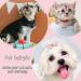 Taicols 10-Piece Dog and Cat Hair Clips - Stylish Accessories for Small to Medium Pets | Perfect for Dog Arches & Hair Care - Buy Online on GoSupps.com