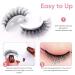 Accurateg Reusable Self Adhesive Eyelashes - Waterproof Natural Look | Buy Accurate Magnetic Eyelashes (3pc Mix) Online - Buy Online on GoSupps.com