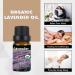 Buy Lavender Oil 10 ML - 100% Natural & Organic Essential Oil for Diffuser | Made in USA - Buy Online on GoSupps.com