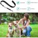 MART Deals LTD Stainless Steel Dog Whistle with Lanyard - Adjustable Frequencies Whistles for Recall and Pet Behavior Control - Neck Strap Dog Training Assistant for Barking Control - Buy Online on GoSupps.com