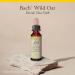 Bach Original Flower Remedies, Wild Oat (Non-Alcohol Formula) - Decide Your Path - Natural Homeopathic Flower Essence for Emotional Balance - Vegan, Gluten Free, Sugar Free - 10mL Dropper - Buy Online on GoSupps.com