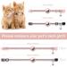 Lafayi 2 Pack Cat Collar with Bell & Reflective GPS Tracker | Personalized Pink Airtag Case & Safety Clasp | International Shipping Available - Buy Online on GoSupps.com