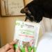 Shameless Pets Catnip N' Chill Crunchy Cat Treats Chicken/Catnip - 71 g Cat Treats - Buy Online on GoSupps.com