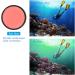 Seafrogs Red Diving Filter 67mm for Underwater Housings | Enhance Underwater Photography - Buy Online on GoSupps.com