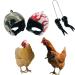 Allazone 3 Pieces Chicken Helmet Plastic Chicken Helmet Pet Bird Hat Headgear and Chicken Arms for Chicks Birds Protective Helmet for Chickens