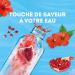 Lipton Infuse Froid Infusion Froid Go t Grenade et Hibiscus Id ale pour le Th Glac Ingr dients d'Origine 100% Naturelle 6x15 Sachets Pyramid - Buy Online on GoSupps.com