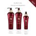 T-LAB PROFESSIONAL Aura Oil Duo Treatment - Silky Manageable and Shiny Hair | Deep Nourishment for Damaged Hair 10.14 Fl Oz - International Shipping Available - Buy Online on GoSupps.com