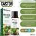  KANZY HAIR AND BEAUTY Kanzy Cold Pressed Castor Oil 10ml - Pure Castor Oil for Eyelashes Eyebrows Hair Beard Skin and Nails - Buy Online on GoSupps.com