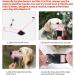 Buy Heele Dog Muzzle - Soft Nylon Breathable Mesh Basket for Comfortable Dog Training & Safety - International Shipping Available - Buy Online on GoSupps.com