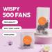 500 Wispy Lash Extensions | 5D Premade Fans | 0.07 CC Curl 12mm | Kim K Style Natural Volume Eyelash Extensions - Buy Online on GoSupps.com