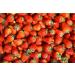 Strawberry Seeds Ancient Breed Berry Seeds Natural Beauty Strawberry500 Seeds