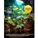 Tobebright 13W UVB Lamp 5.0 - Optimal Compact Fluorescent Lamp for Reptiles Aquariums & Terrariums | E27 AC220-240V - Buy Online on GoSupps.com