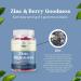 Raspberry Ketones Green Tea + African Mango Bundle with Zinc Gummies | Boost Weight Loss | Gluten & Gelatin Free - Buy Online on GoSupps.com