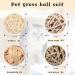 Small Animal Chew Ball Toy Set - Ideal for Rabbits, Guinea Pigs, Chinchillas - Teeth Grinding & Play - 15 Pieces - Buy Online on GoSupps.com