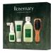 AROMATICA Rosemary Scalp Scaling Trial Kit - Mini Wooden Hair Brush - [Shampoo 3.38 fl. oz. / Root Enhancer 1.01 fl. oz. / Scalp Scrub 1.01 fl. oz.] - For Clearer and Dandruff Free Hair - Plant-based Vegan Shampoo - Free f…