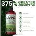Living Silica Plant Based Collagen Booster | Vegan | Supports Healthy Collagen and Elastin Production for Joint & Bone Support Glowing Skin Strong Hair & Nails 500 ml | 16.9 Fl Oz 16.9 Fl Oz (Pack of 1) - Buy Online on GoSupps.com