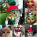 Legendog Cat Costume Turkey Hat Halloween Thanksgiving Party Handmade Crochet Pet Turkey Headgear Costume for Small Dog Kittens Brown - Buy Online on GoSupps.com