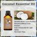Buy Yethious Coconut Fragrance Oil 100ML - Ideal for Diffusers Candle Making Soap & Home Aromatherapy - Scented Coconut Oil for Car Freshies & Soy Candles - Perfect for Festivals & Vacations - Buy Online on GoSupps.com