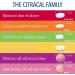 Citracal Calcium Supplement with D3 - Slow Release 1200mg, 80 Coated Tablets - Buy Online on GoSupps.com