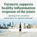 Buy MegaFood Turmeric Strength for Joint Health - 60 Tablets | Natural Anti-Inflammatory - Buy Online on GoSupps.com