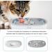 Stainless Steel Cat Water Fountain 84oz/2.5L with LED Light and Water Level Window - Buy Online on GoSupps.com